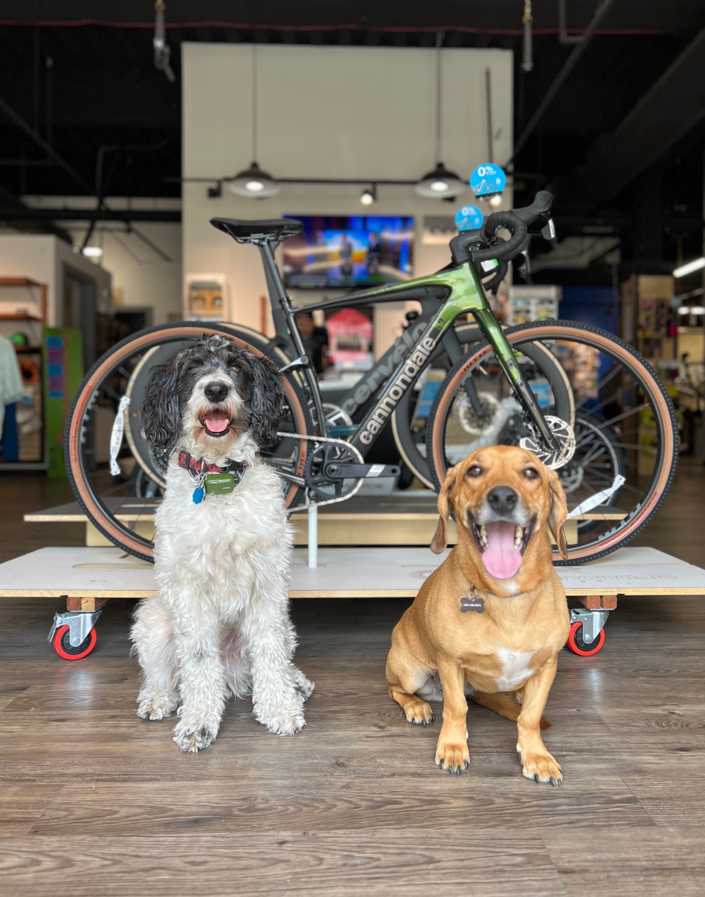 East Denver bike shop makes you feel welcome, regardless of experience, age or budget