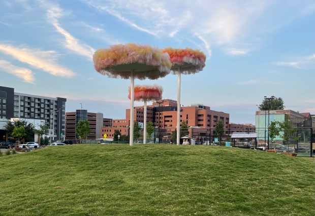 Artist Ana Maria Hernando's 