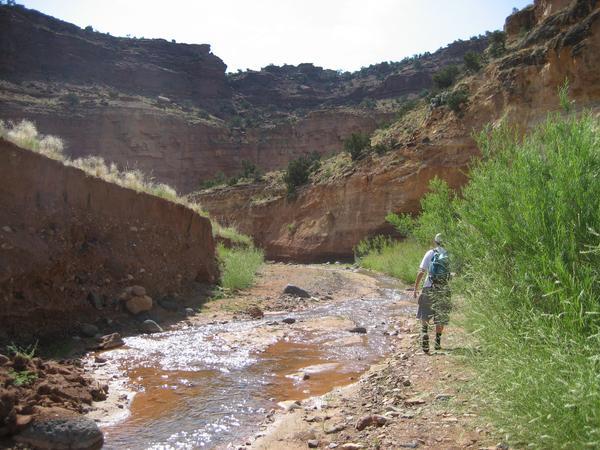 This park in Utah is under threat from Trump — do not give up (Opinion)